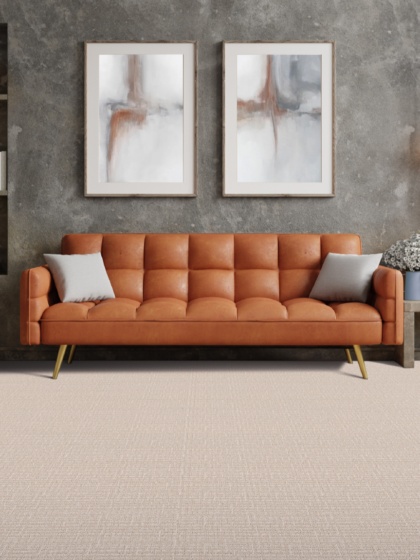 Carpet in living room