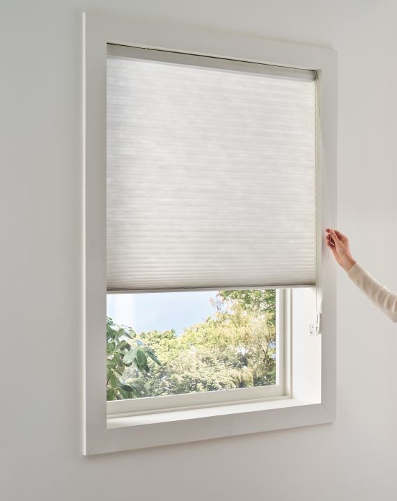 Cellular blinds in window