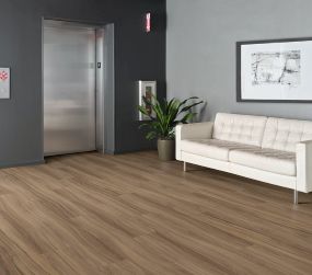 Delight Swatch Thumbnail