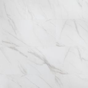 White with Grey Swatch