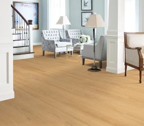 Golden Oak Swatch